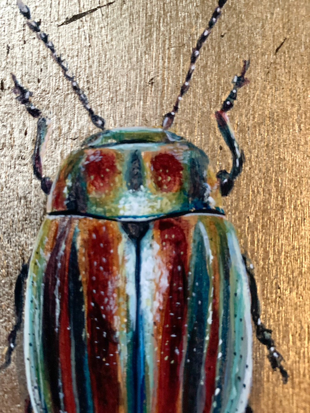rainbow leaf beetle painting detail