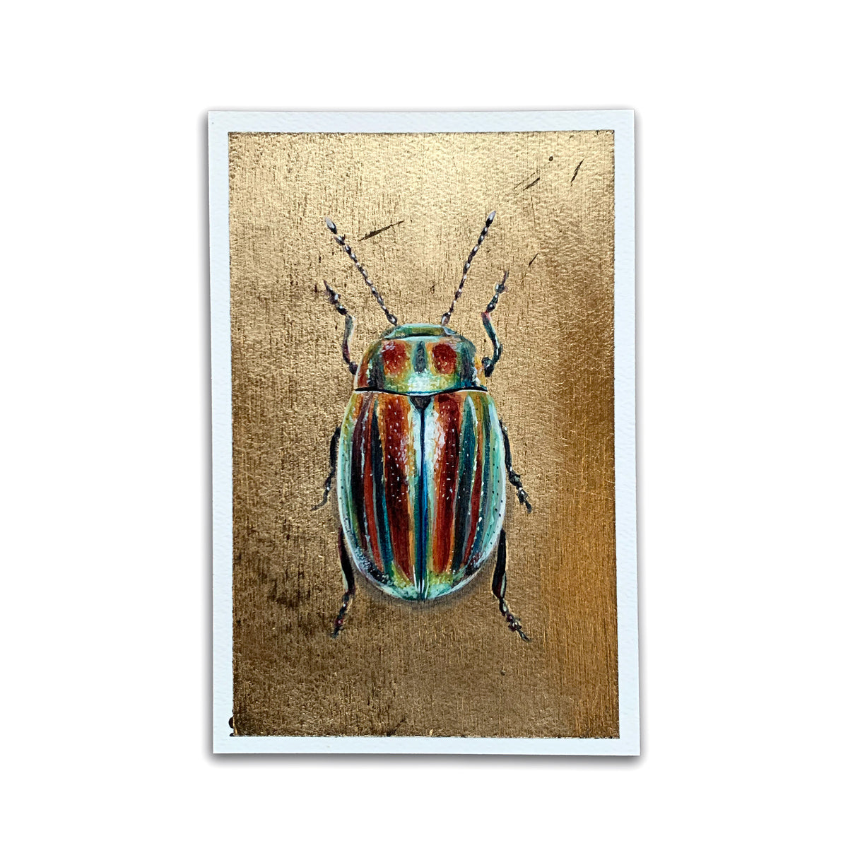 rainbow leaf beetle painting