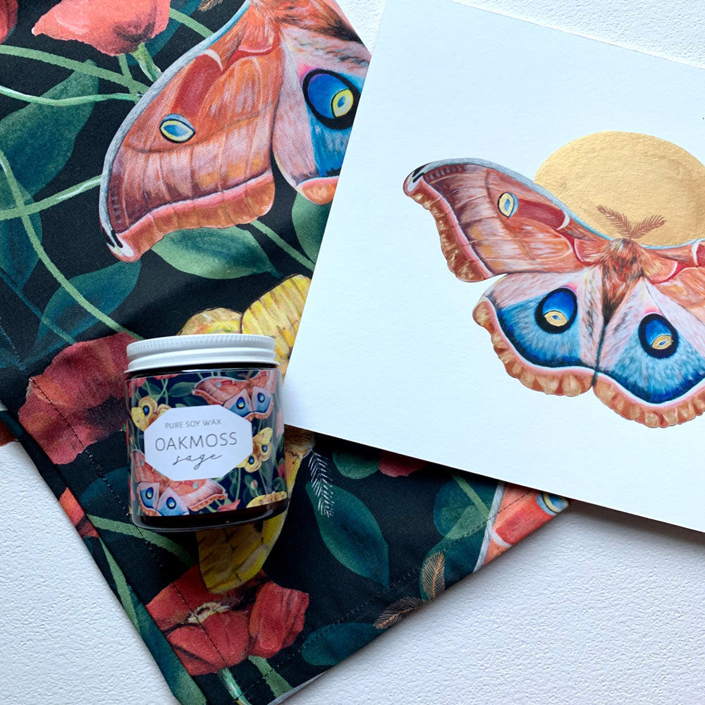 Moth art gift set