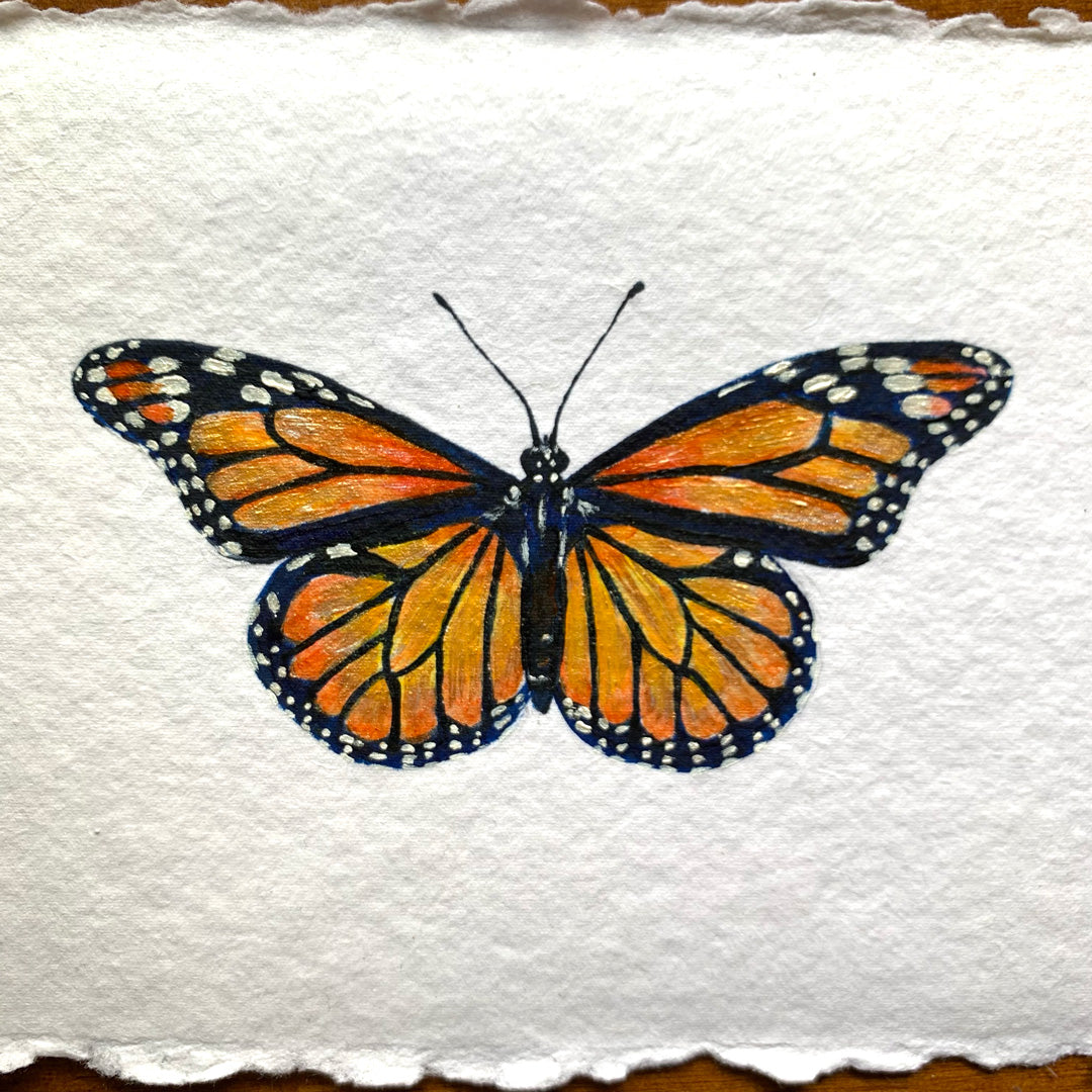 Designer Butterfly Rizz Monarch Butterfly Design