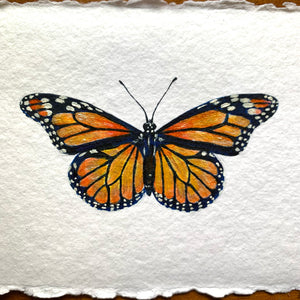 small monarch butterfly painting on paper