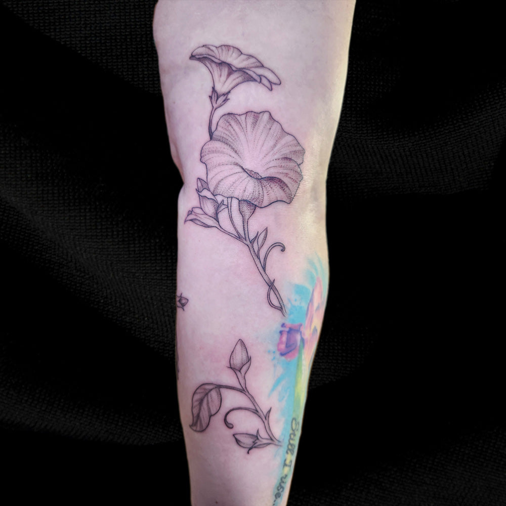 fine line Morning glory tattoo by Lydia Pitts