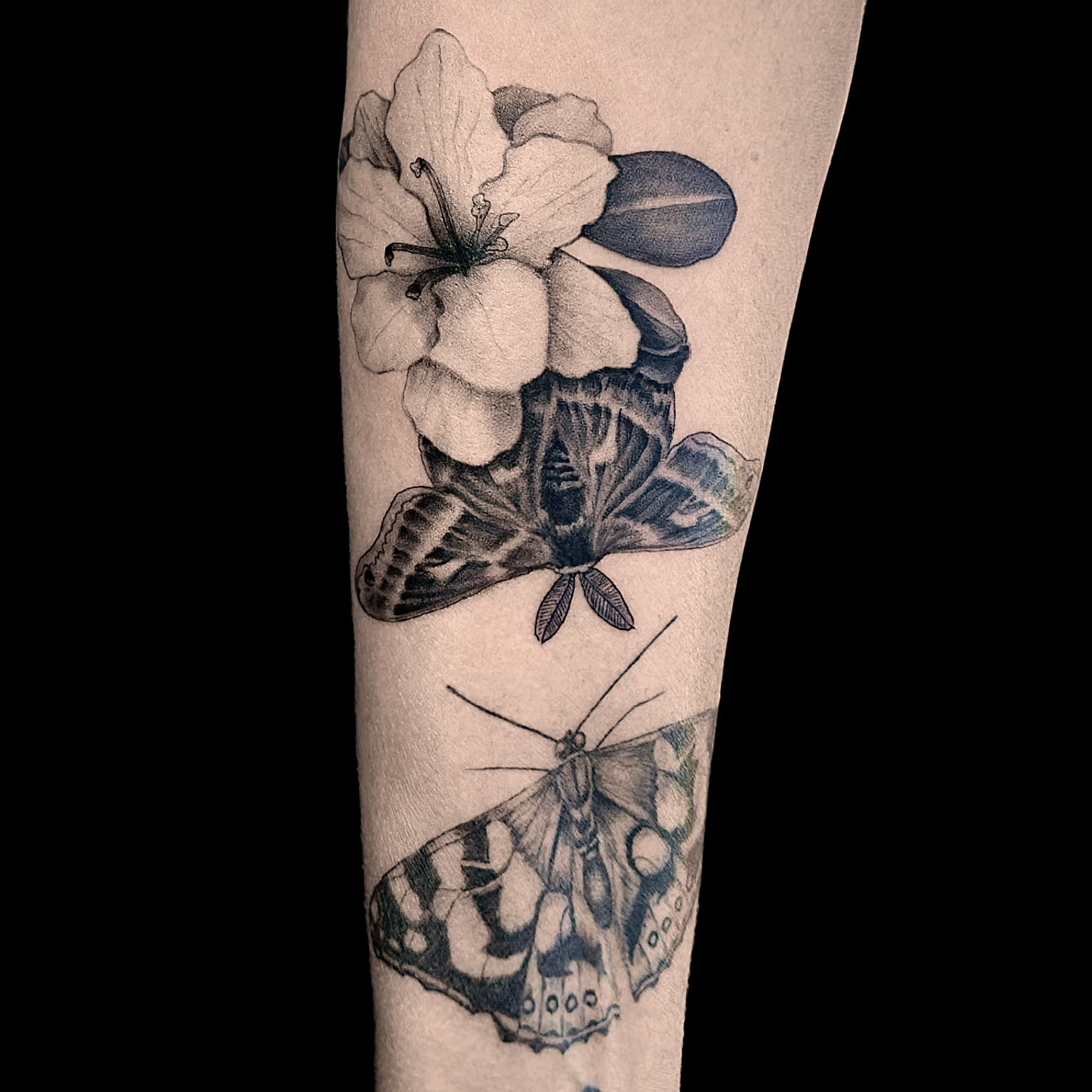 moth flower tattoo by Danny Schreiber