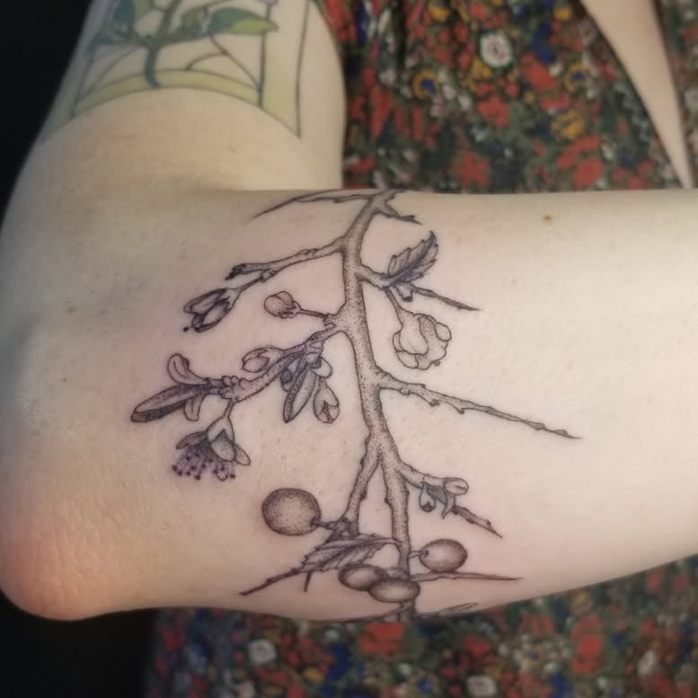 blackthorn fine line tattoo by Lydia Pitts