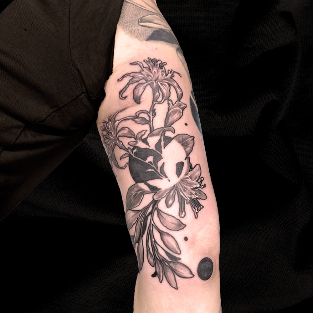 graphic honeysuckle flower tattoo by Cass Brown