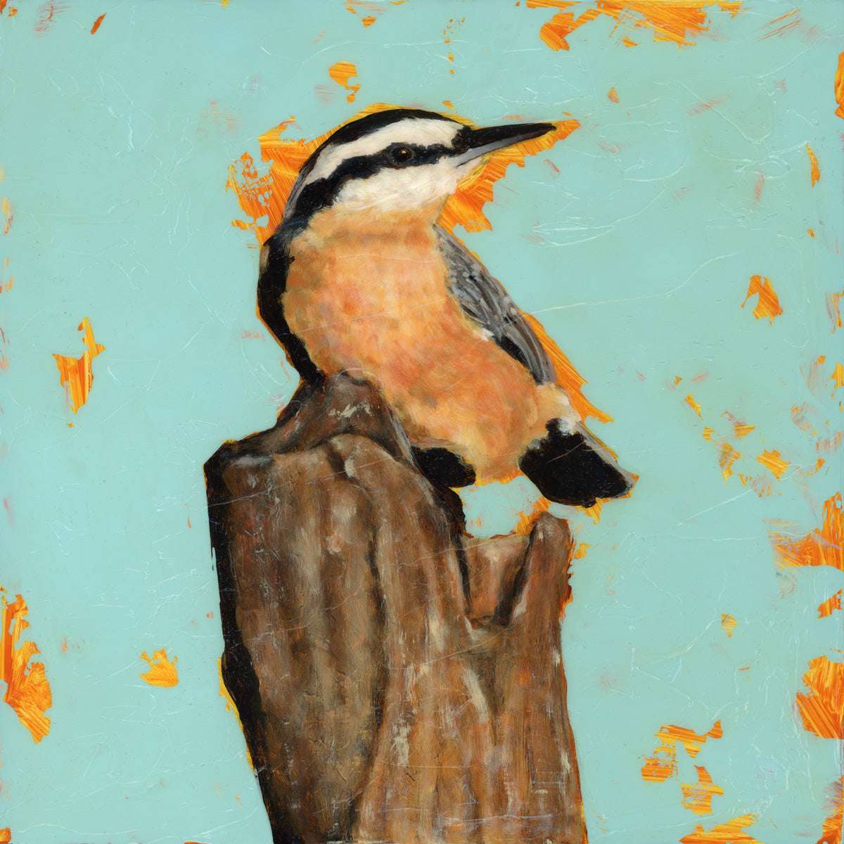 nuthatch bird art print
