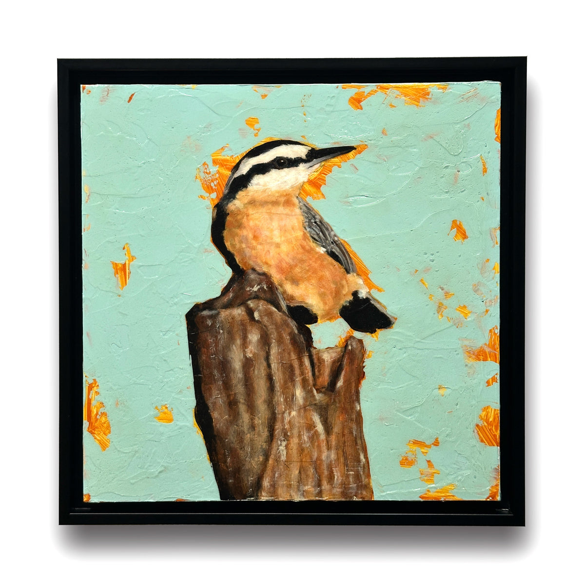 nuthatch bird painting
