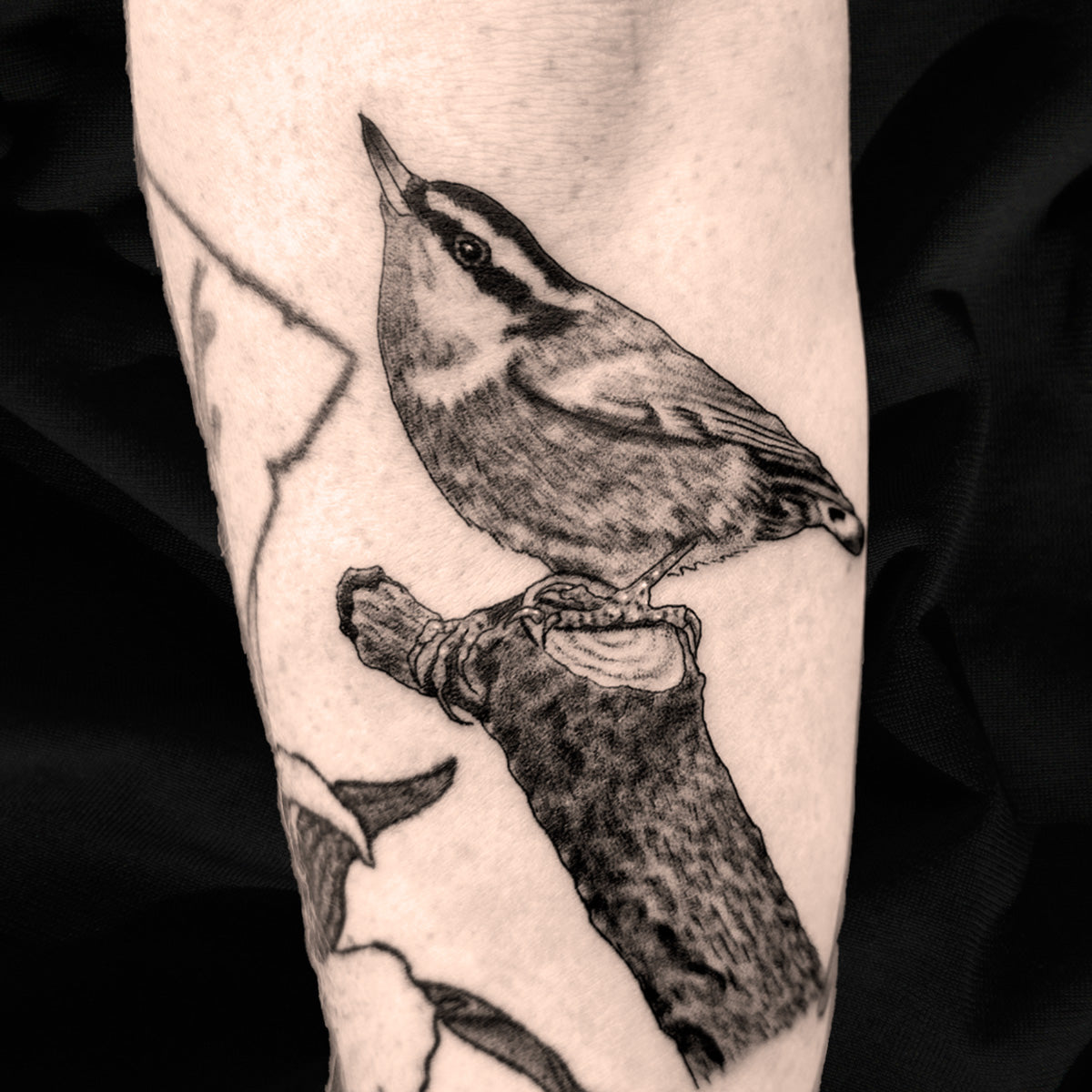 nuthatch bird tattoo by Danny Schreiber
