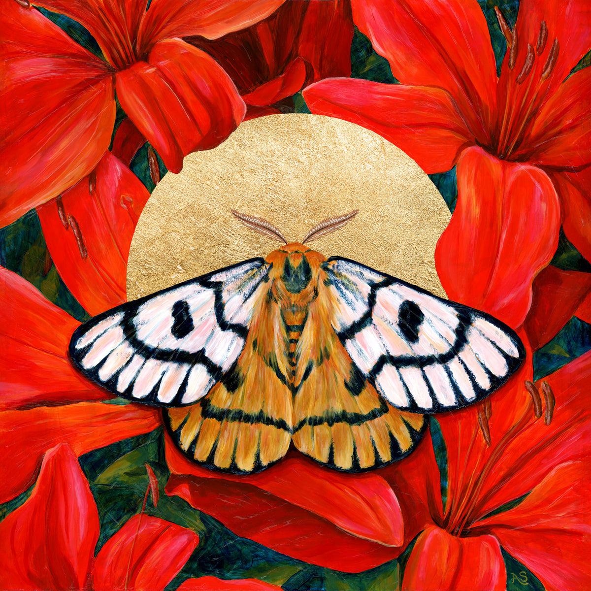 Nuttall&#39;s sheep moth red lilies art print