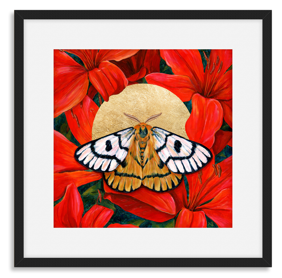 Nuttall&#39;s sheep moth red lilies art print black frame