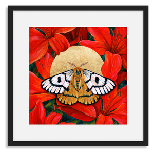 Nuttall's sheep moth red lilies art print black frame