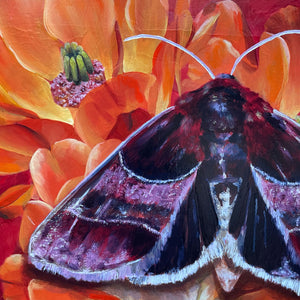 'Passion' arcigera flower moth orange cactus flower painting 