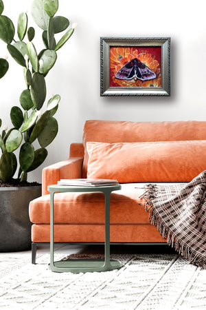 'Passion' arcigera flower moth orange cactus flower painting in silver frame on wall