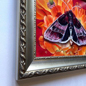 'Passion' arcigera flower moth orange cactus flower painting silver frame detail