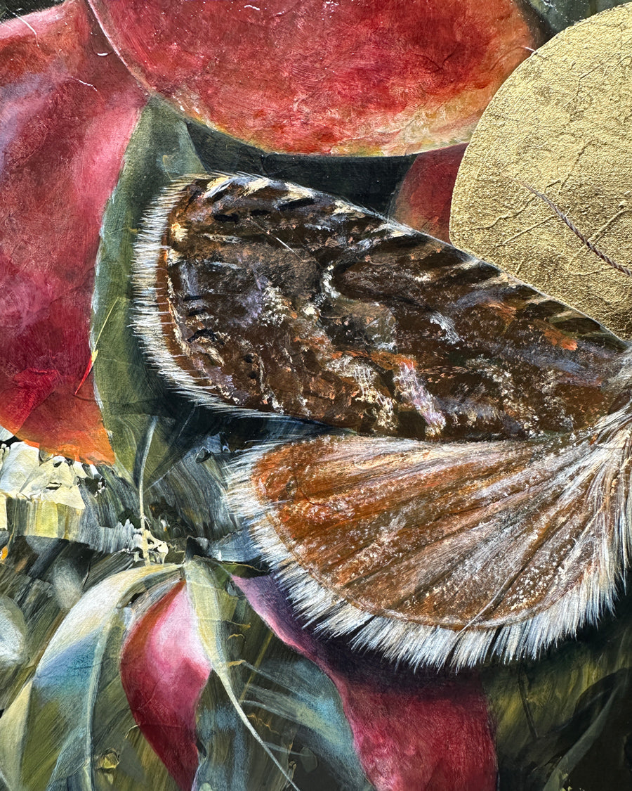 "Dissolve" Peach Moth Painting