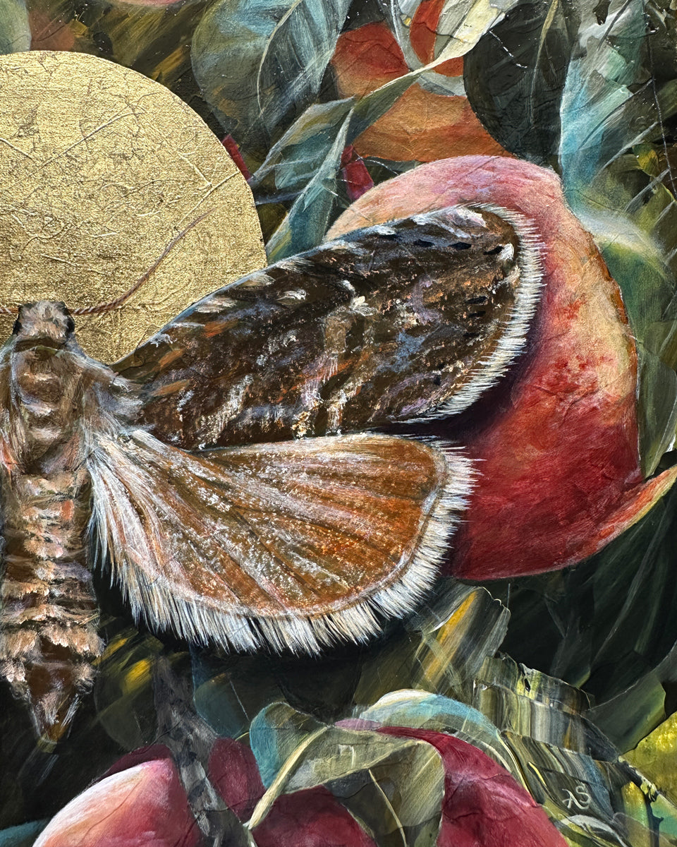 "Dissolve" Peach Moth Painting