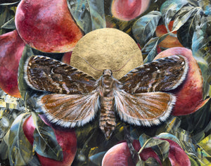 "Dissolve" Peach Moth Painting