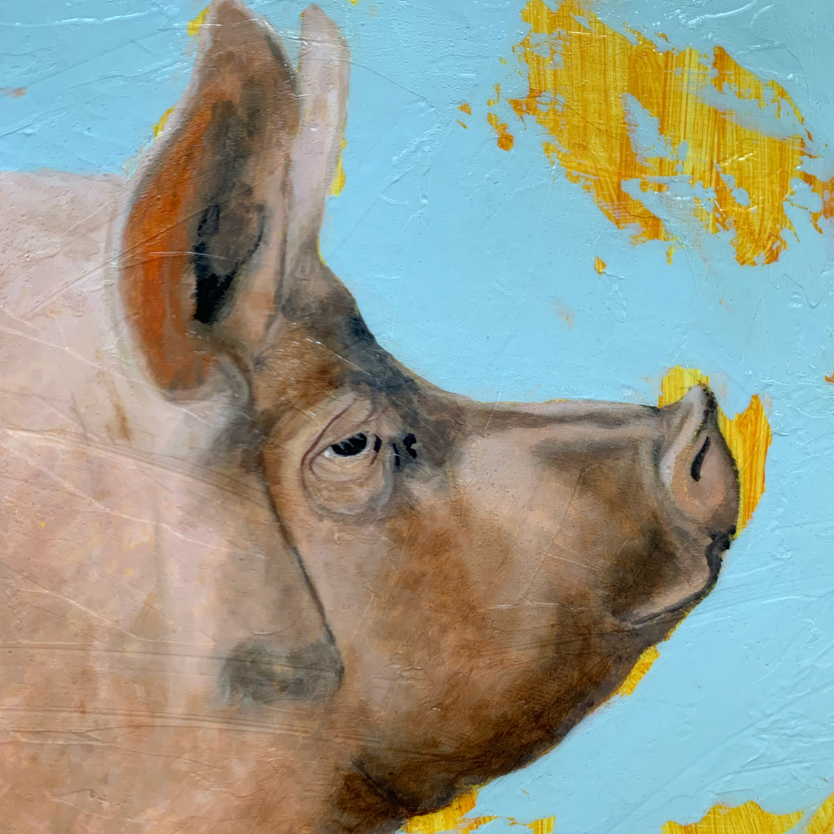 pig painting &#39;Humility&#39; pig profile detail