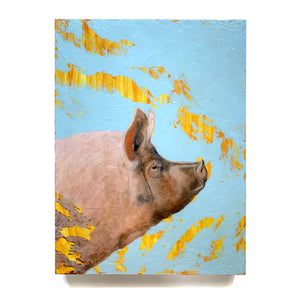 pig painting 'Humility'