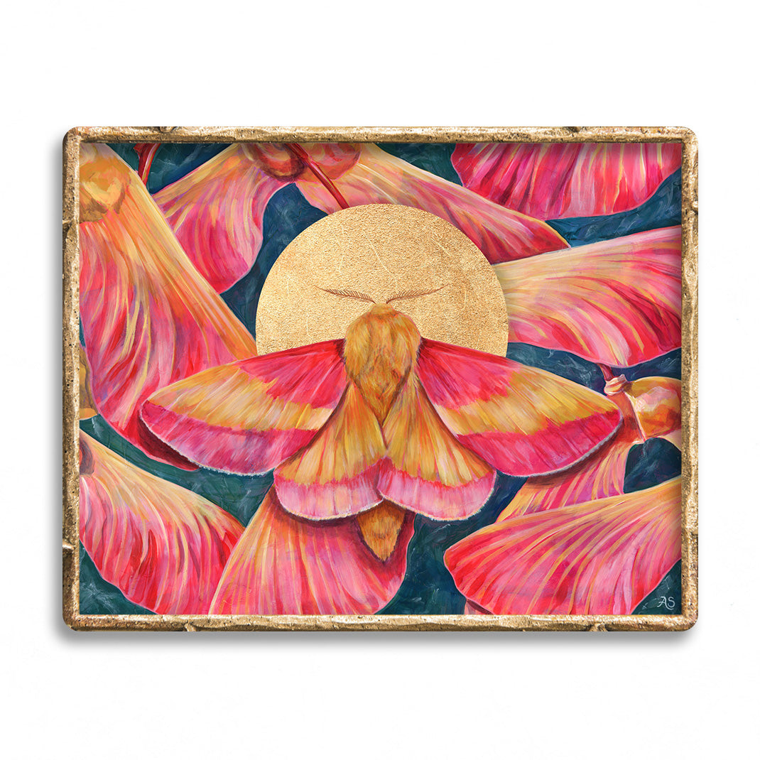 Rosy the Faerie Rosy Maple Moth – Jackie Harder Art