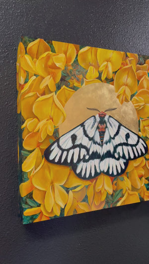 hera buckmoth and yellow flowers painting