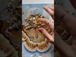 Tenderness sweetbay silkmoth painting process video