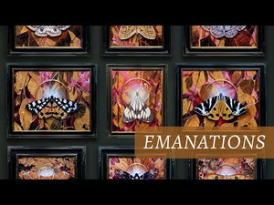 Emanations Collection video