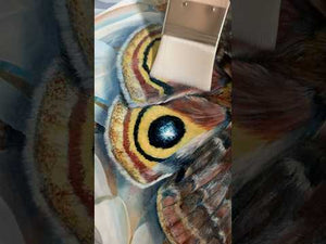"Synchronicity" Io Moth Painting