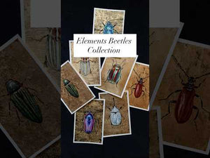 gold leaf beetle paintings