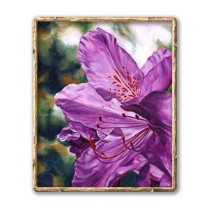 purple flower art print rhododendron