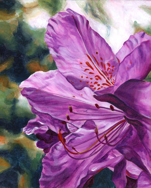 purple rhododendron flower art print 