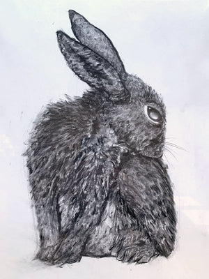 rabbit charcoal drawing detail