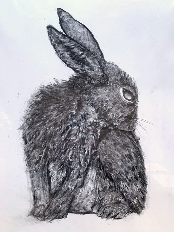 Fox and rabbit, Pencil Sketch - Arthub.ai