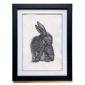 rabbit charcoal drawing