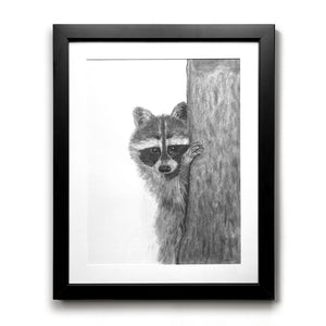 raccoon charcoal drawing art framed