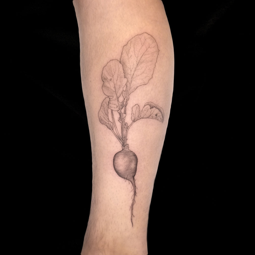 fine line radish tattoo by Lydia Pitts