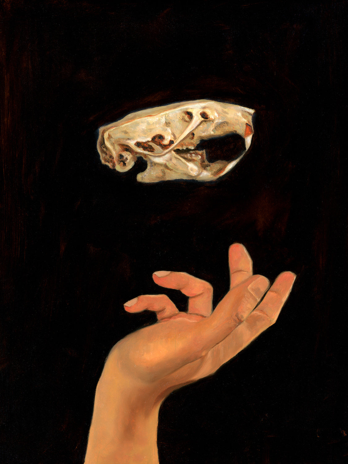 "Lucidity" Art Print