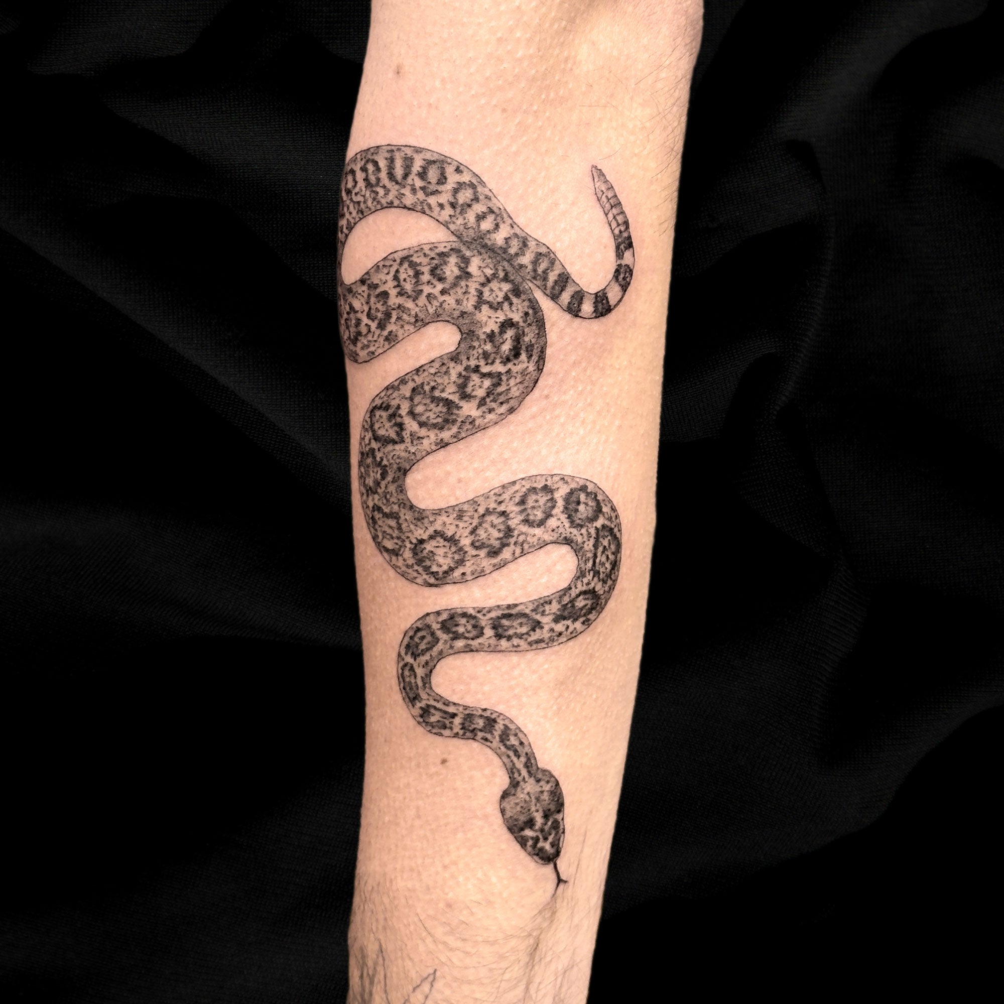 rattlesnake tattoo by Danny Schreiber