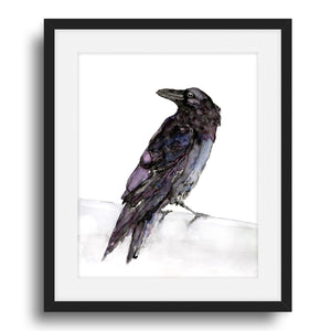 raven watercolor art print