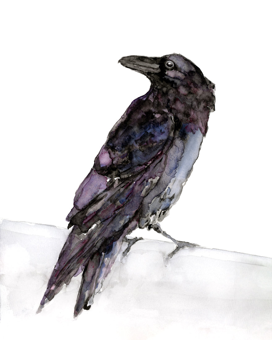 Flying Raven Watercolor, an art print by Olga Shvartsur - INPRNT