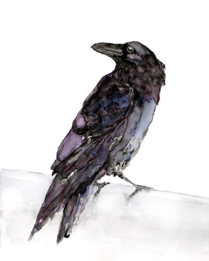 raven watercolor art print