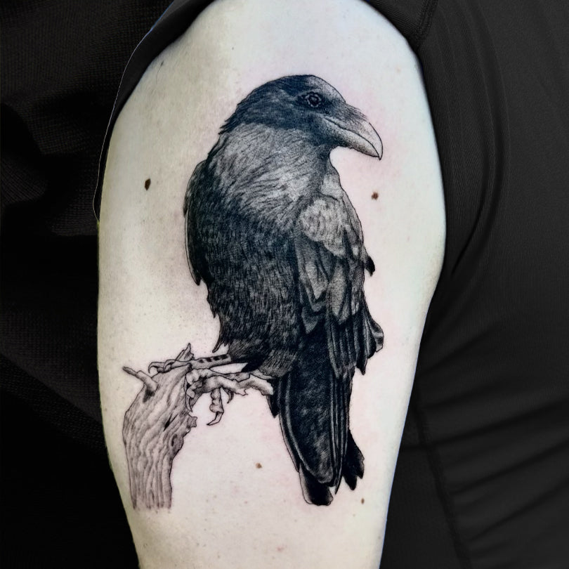 Realism raven tattoo by Danny