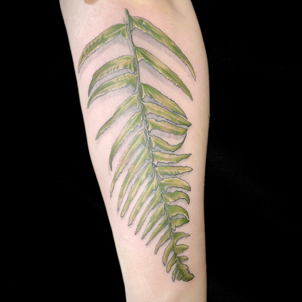 realistic fern tattoo by Cass Brown