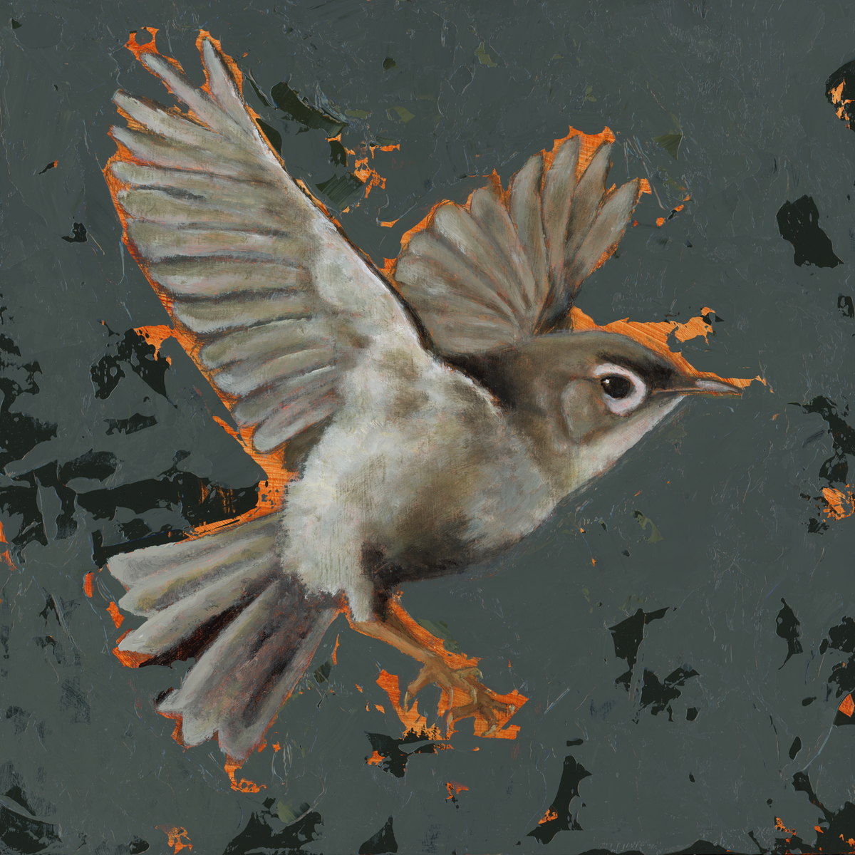 gray flying bird art print