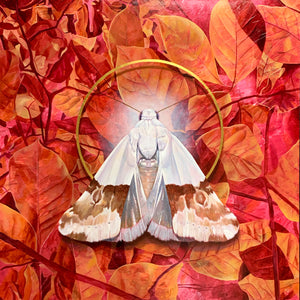 recollection large white and pink moth painting with 24K gold