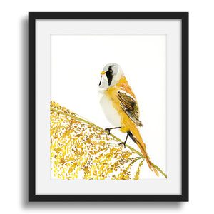 bearded reedling yellow bird art print