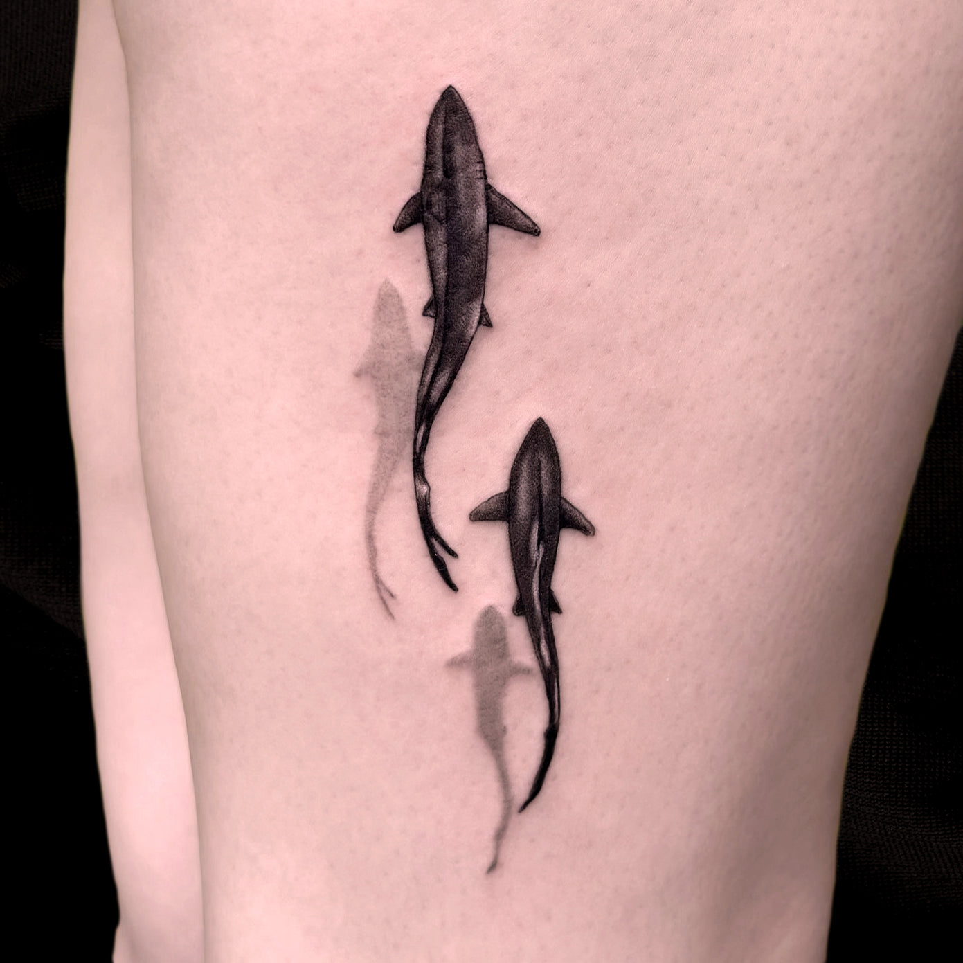 reef shark tattoo by Danny Schreiber