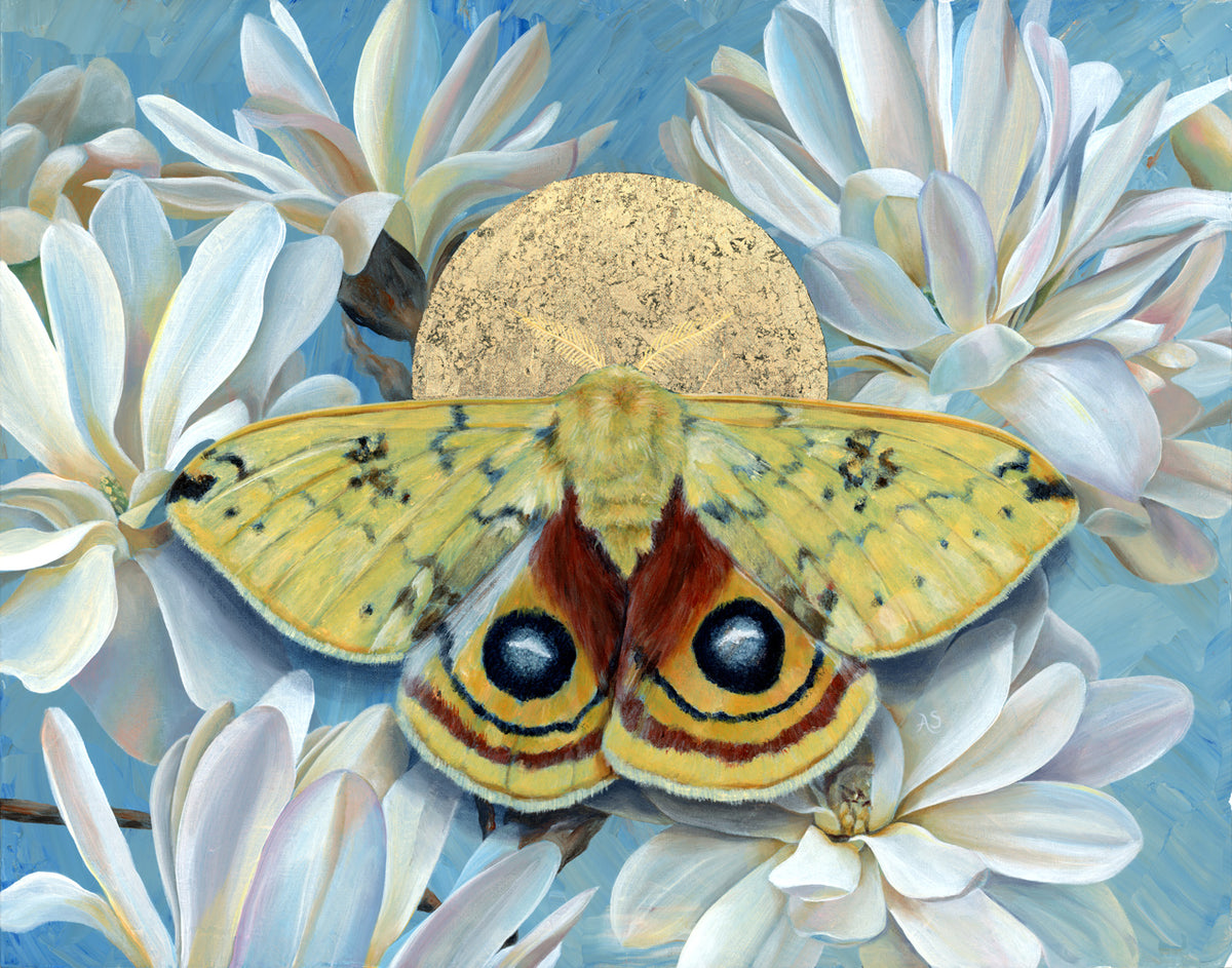 "Resonance" Io Moth Art Print