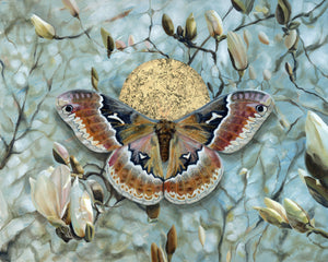 Tuliptree moth magnolia art print with blue sky