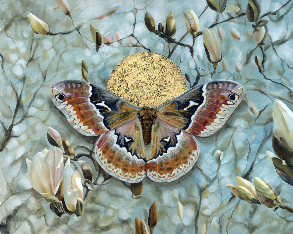 Reverberation tuliptree silkmoth magnolia painting with gold leaf and blue background by Aimee Schreiber